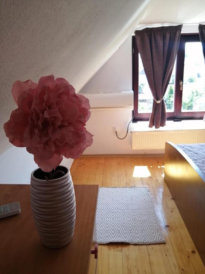 オルドヘユ・セクイエスクLotus Apartmanアパートメント エクステリア 写真